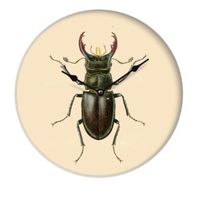 Zegar Insect II